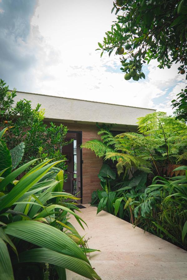 Amanatu Ecolodge & Spa キンバヤ エクステリア 写真